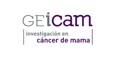 logo-geicam-1-1